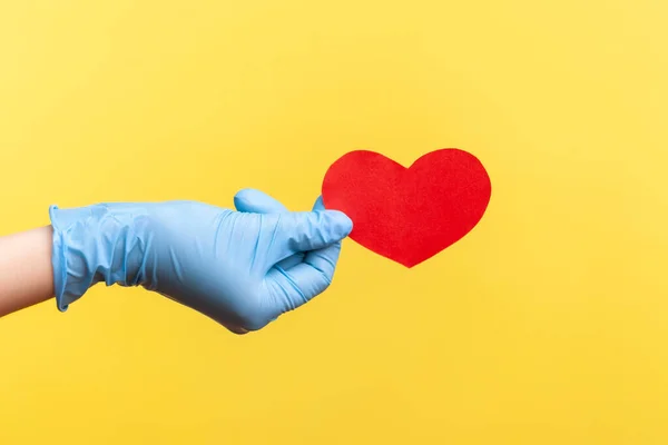 Profile side view closeup of human hand in blue surgical gloves holding small red heart shape in hand. indoor, studio shot, isolated on yellow background.