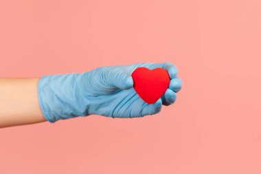 Profil yan görüntüsü, elinde küçük kırmızı bir kalp tutan mavi eldivenli insan eli. İçerde, stüdyoda, pembe arka planda izole edilmiş..