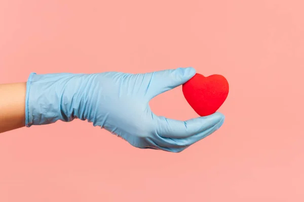 Profile side view closeup of human hand in blue surgical gloves holding small red heart shape in hand. indoor, studio shot, isolated on pink background.