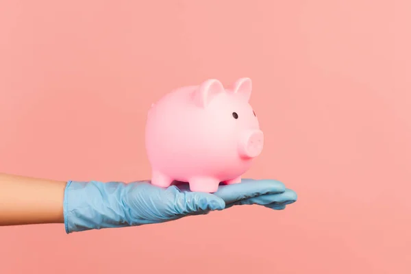 Profile side view closeup of human hand in blue surgical gloves holding pig money box. saving, finicial or banking cocept. indoor, studio shot, isolated on pink background.