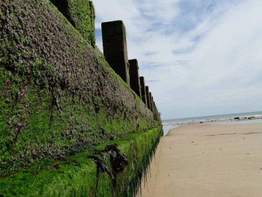 Aberdeen Plajı'nda bir gün