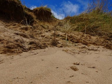 Aberdeen Plajı'nda bir gün