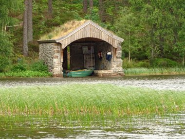 River dee, orman, glen tanar, İskoçya sahilinde