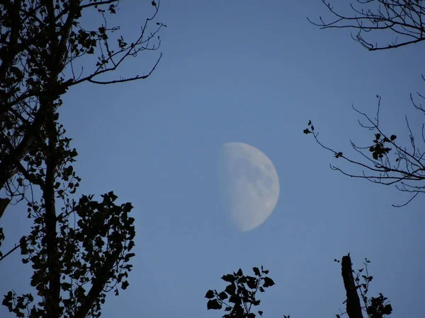 々の間の白昼の空には月 — ストック写真