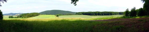 Arany Szemű Geismar Edersee Ősszel — Stock Fotó