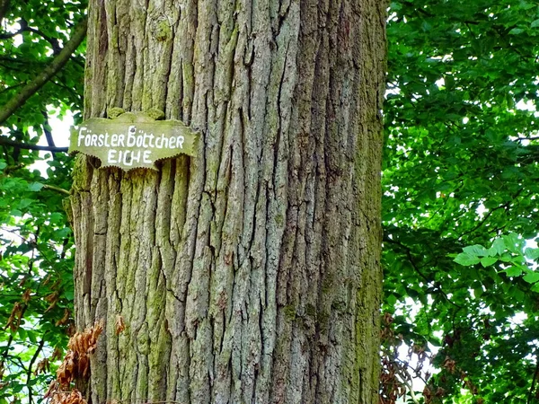 Sign Edge Path — Stock Photo, Image