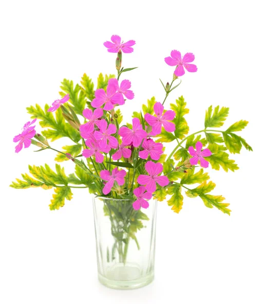 Bouquet of pink  wildflowers  isolated on white.