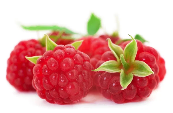 Reife Rote Himbeeren Isoliert Auf Weißem Hintergrund — Stockfoto