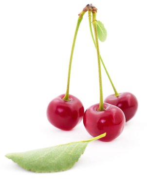 Beyaz arka plan üzerinde izole sapları ile olgun cherrys.