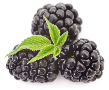 Beyaz arka plan üzerinde izole yeşil yaprakları ile olgun böğürtlen Grup.