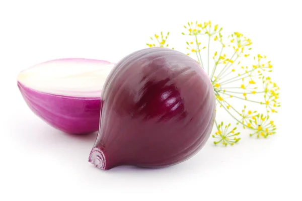 Фиолетовый Лук Укроп Изолированы Белом Фоне — стоковое фото