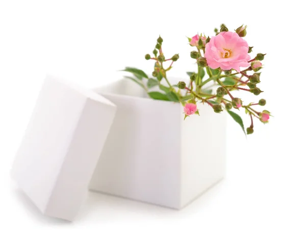 Caja Regalo Flores Rosas Aisladas Blanco — Foto de Stock