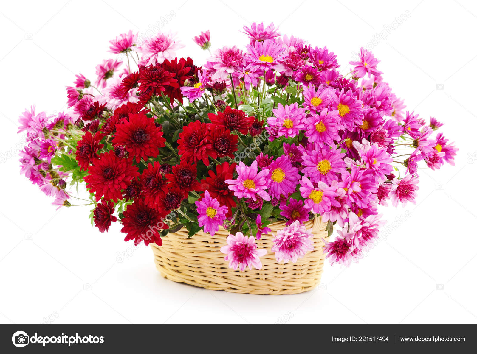 Beautiful Bouquet Chrysanthemum Flowers Basket Isolated White Stock Photo C Singaevskagalina Gmail Com 221517494