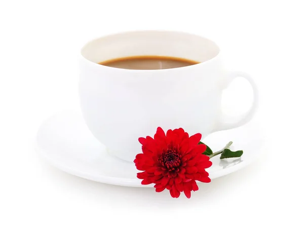 Weiße Tasse Kaffee Mit Einer Schönen Chrysanthemen Blume Auf Hellem — Stockfoto