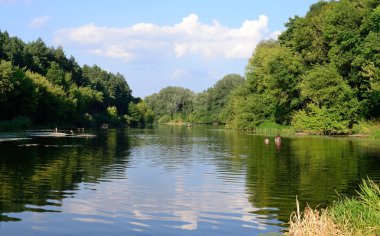Yazın sakin bir nehirde güneşli bir gün