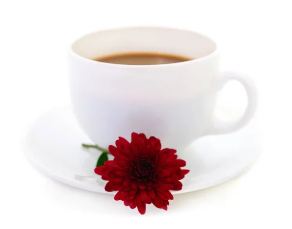 Weiße Tasse Kaffee Mit Einer Schönen Chrysanthemen Blume Auf Hellem — Stockfoto