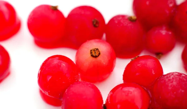 Bacche Ribes Rosso Tirati Fuori Dal Congelatore Stanno Lentamente Sciogliendo — Foto Stock