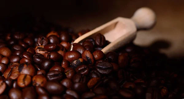 Granos de café tostados. — Foto de Stock