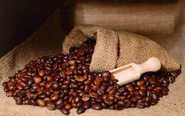 Granos de café en una cucharada de madera y bolsa . — Foto de Stock