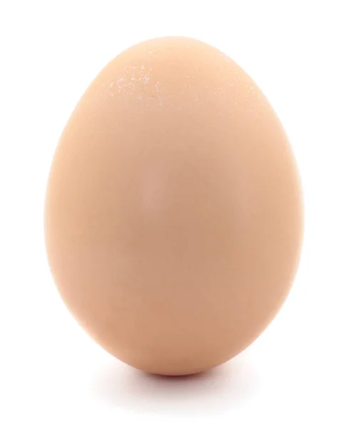 Un œuf brun. — Photo