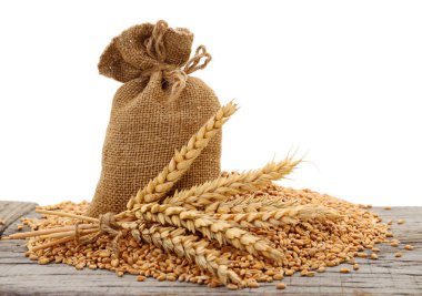 ve kulak buğday taneleri ile çuval.