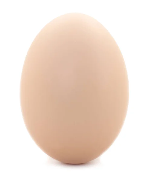 One brown egg. — Stock Photo, Image