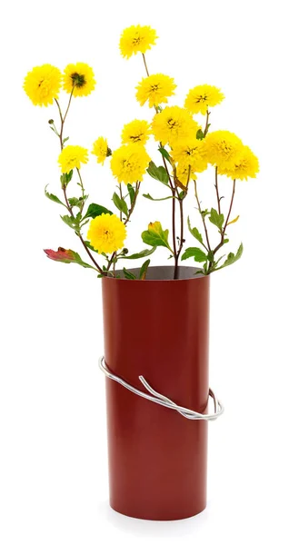 Flores de crisantemo y cartón de color . — Foto de Stock