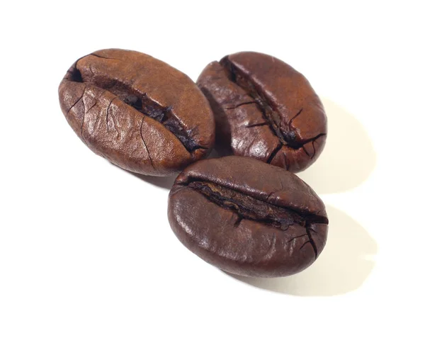 Grãos de café marrom . — Fotografia de Stock