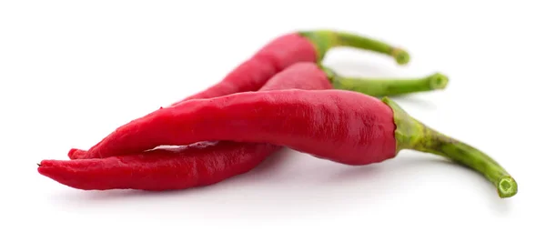 Red hot chili peppar isolerade. — Stockfoto