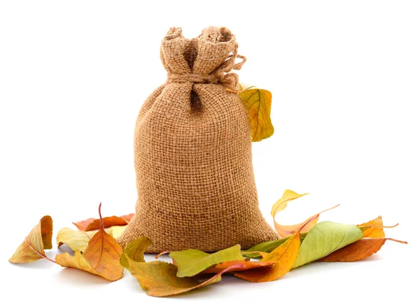 Wheat grain in sack and autumn leaves . — 스톡 사진