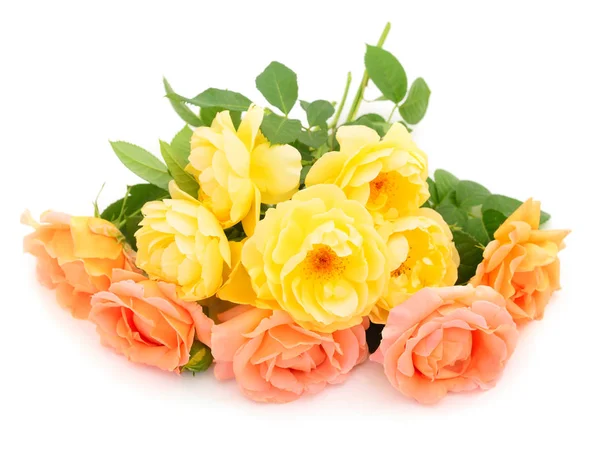 Аромат желтых и оранжевых роз . — стоковое фото