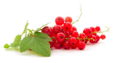 Frenk üzümü meyve.