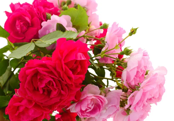 Buquê de rosas vermelhas e rosa . — Fotografia de Stock