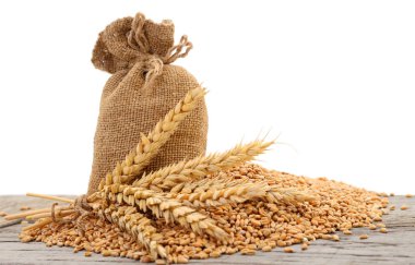 ve kulak buğday taneleri ile çuval.