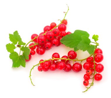 Frenk üzümü meyve.