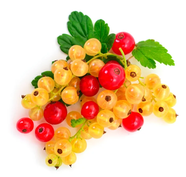 Witte en rode bessen vruchten. — Stockfoto