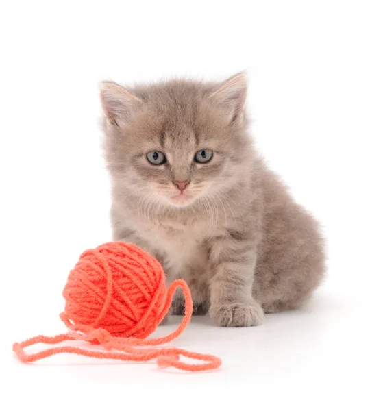 Pequeno Gatinho Brincando Com Uma Bola Fio Isolado Fundo Branco — Fotografia de Stock