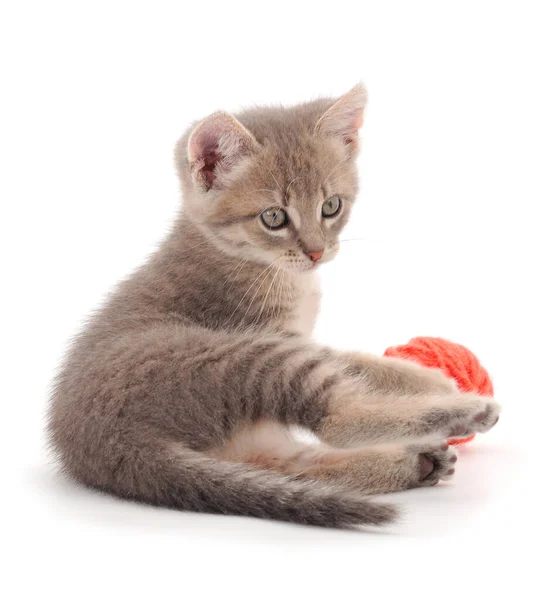 Piccolo Gattino Che Gioca Con Una Palla Filato Isolato Sfondo — Foto Stock