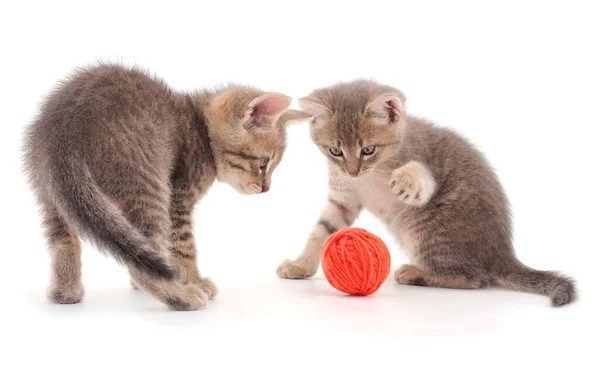 Dois Gatinhos Brincando Com Uma Bola Fio Isolado Fundo Branco — Fotografia de Stock