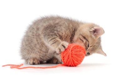 Küçük kedi yavrusu beyaz arka planda izole edilmiş bir iplik yumağıyla oynuyor..