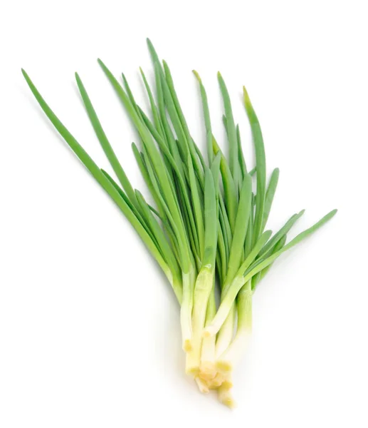 Bündel Grüner Zwiebeln Isoliert Auf Weißem Hintergrund — Stockfoto