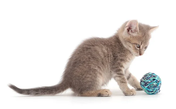 Pequeno Gatinho Brincando Com Uma Bola Fio Isolado Fundo Branco — Fotografia de Stock