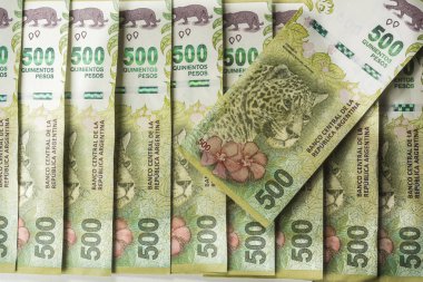 Arjantin'in yeni beş yüz banknot