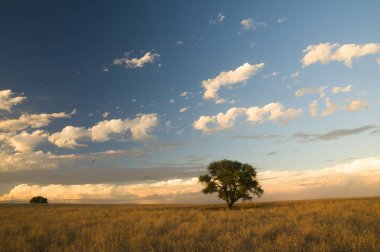 Pampas manzarası bulutlu gökyüzü, La Pampa, Arjantin
