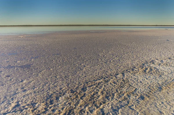 Lagoa Sal Pampa Argentina — Fotografia de Stock