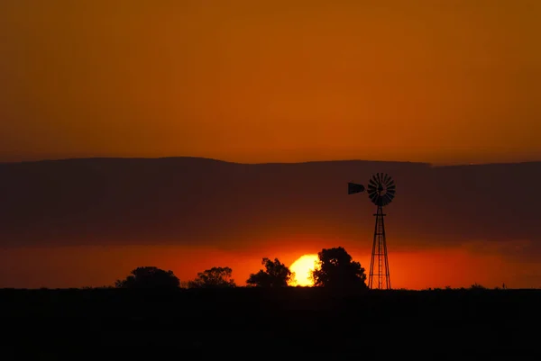 Pampas landscape with wind tower, Argentina