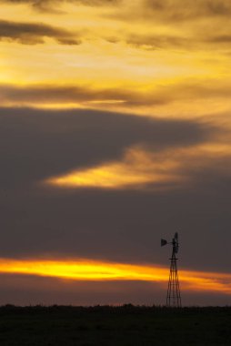 Pampas Peyzajı, La Pampa, Arjantin