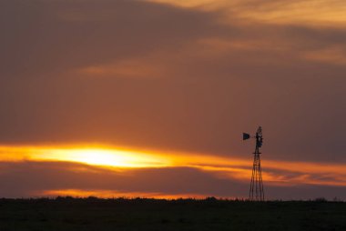 Pampas Peyzajı, La Pampa, Arjantin