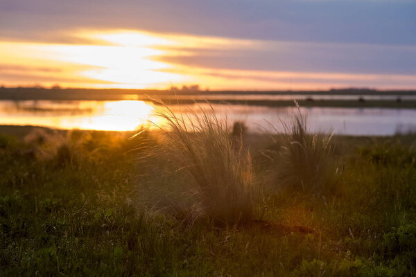 Pampas with natural landscape, La Pampa, Argentina