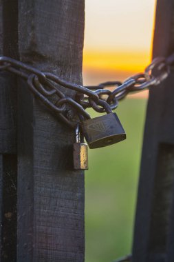 Sığır kapıda Pampa bölge, Arjantin